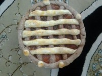 پای انواع توت