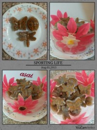 کاسه یخ و قالب یخ تزیینی خاکشبر و تخم شربتی