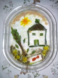 تزیین ماست وخیار امیدوارم بپسندید.