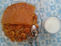 پلو میگو بوشهری