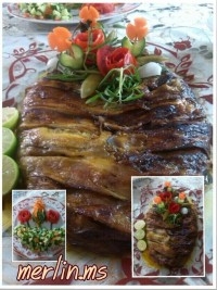 موسکا قالبی من