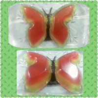 ژله پروانه باشکلات آبشده