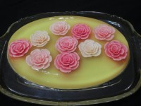 ژله تزریقی 2