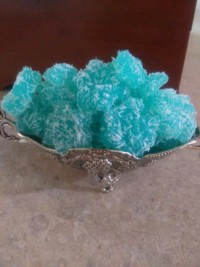 باسلوق میوه ای