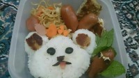 Bento lunch box
