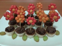 گلدونهای خوراکی من