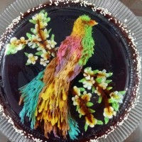 ژله تزریقی