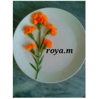 تزیین بشقاب