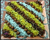 عدس پلو مجلسی