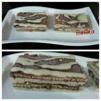 تی تاب خونگی