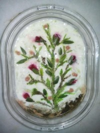 تزیین ماست وخیار امیدوارم دوستان بپسندید