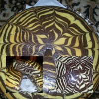 زبراکیک من برااولین بار