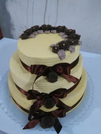 کیک مجلس عروسی.گلهاش باخامه زدم.