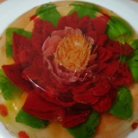 ژله ی تزریقی