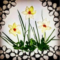 دیزاین بشقاب