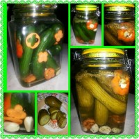 خیارشور فوری