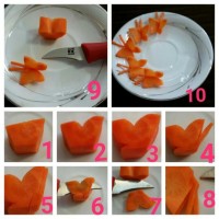 پروانه با هویج