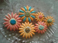 بیسکویت با تزیین ایسینگ