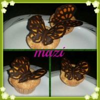 پای سیب 13 آبان