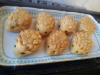 اینم پیراشکیهای من