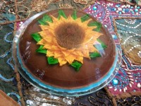 ژله ی تزریقی