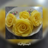 گل رزسیب زمینی