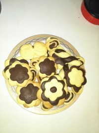 بیسکویت دو رنگ