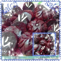 لبو داغ لبو