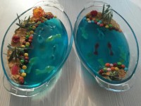 زله اکواریم