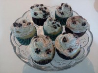 اینم کاپ کیکهای من