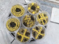 آش نذری اربعین قبول باشه انشالا