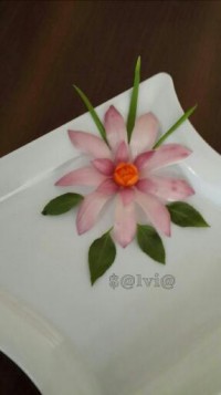 دورچین ساده بشقاب با پیاز بنفش