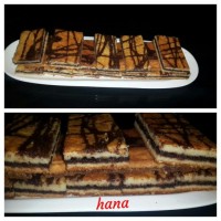 تی تاب خونگی