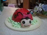 کیک کفش دوزکی من