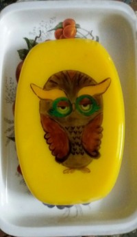 پاناکوتا تصویری