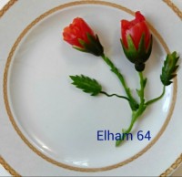 دیزاین سبزیجات به شکل گل رز