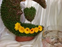 سبزه عید