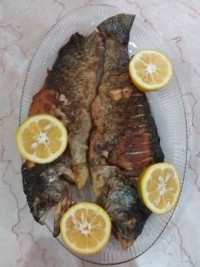 ماهی غزل آلا