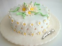 اولین روکش کیک با فوندانت