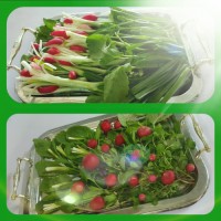 سفره آرایی ساده