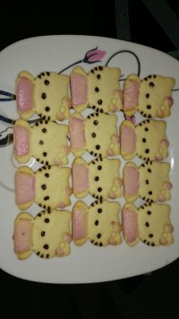 بیسکویت های کیتی