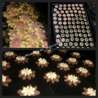 گل مینا های خوشگلم تقدیم ب نگاه خوشگلتون