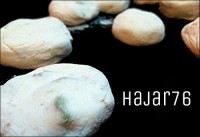 گز اصفهان