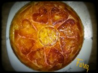 کته در پلوپز