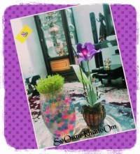 سبزه هفت سین با خاک ژله ای