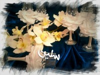 تزیین ظروف هفت سین