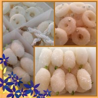 نارگیلی بدون پخت