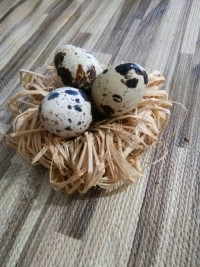 تخم مرغ هفت سین امسالم