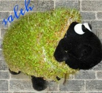 سبزه عروسکی