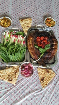 ماهی تنوری